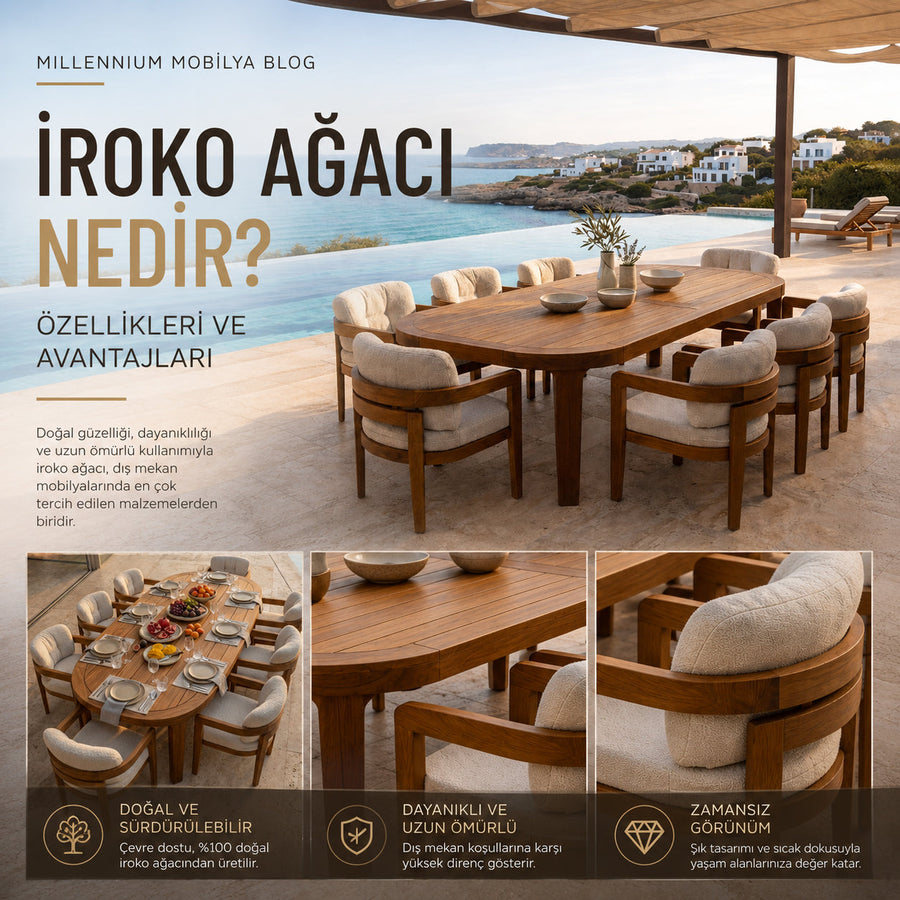 İroko Ağacı Nedir? Özellikleri ve Avantajları
