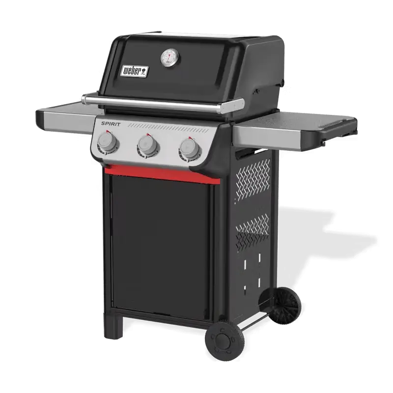 Spirit E-310