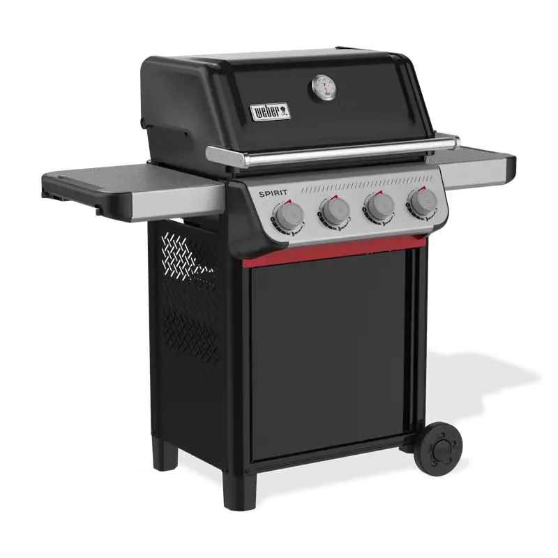 Spirit E-410