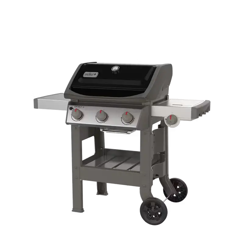 Spirit II E-320