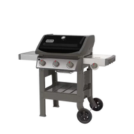 Spirit II E-320