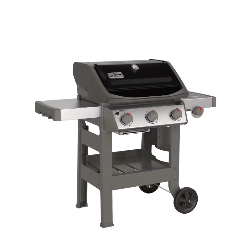 Spirit II E-320