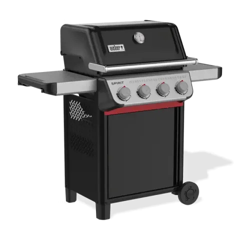 Spirit E-410
