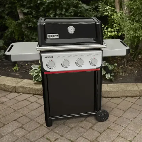 Spirit E-410